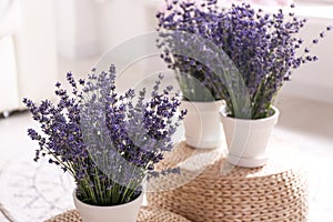 Beautiful lavender flowers on wicker poufs