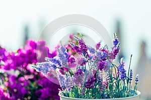 Beautiful lavender flowers on window sill