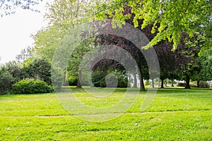 Beautiful lawn in a french park during the spring season on a sunny day photo