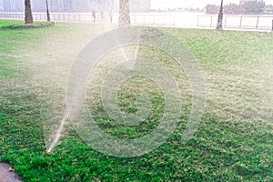 A beautiful lawn, a green grass with stunning drops of dew and a shimmering bokeh