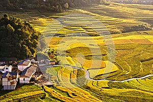 Terrace at guizhou china