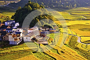 Terrace at guizhou china