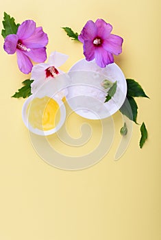 Beautiful layout of cosmetic products on yellow background. Natural cosmetic