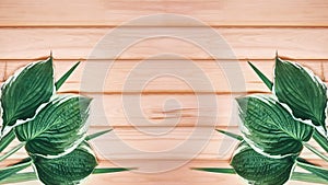 Beautiful Layout Made of Tropical Green Leaves and Empty Wooden background For Copy Space. Minimal Natural Background