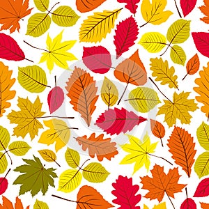 Beautiful leaves seamless pattern, vector natural