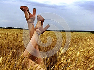 Beautiful legs with high heels, young stylish girl agrarian in a wheat field