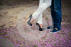 Beautiful legs of young girl in high heels next to the legs Man in pink flower petals, style, fashion, concept, romance