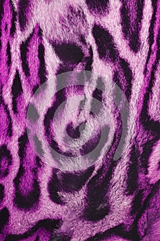 Beautiful leopard fur closeup background texture pattern