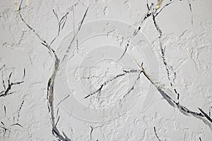 Beautiful light background texture with black and grey lines. Abstract background from plaster on wall