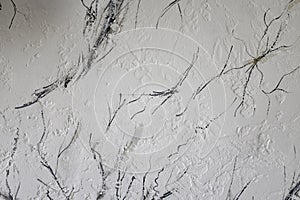 Beautiful light background texture with black and grey lines. Abstract background from plaster on wall