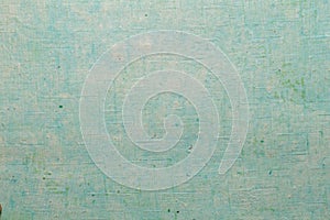 A beautiful light green color handmade paper of wrinkle texture with veins and fibers.