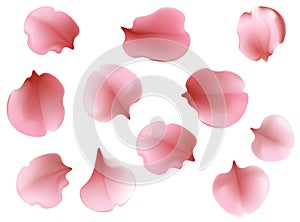Beautiful light spring background seamless pattern with pink flying petals of sakura - Japanese cherry tree.