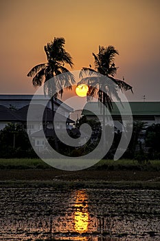 Beautiful light of Sunset with clouds in the sky reflection behind the building and trees