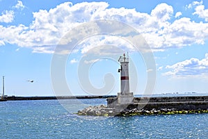 A beautiful lighthouse with seagull photo
