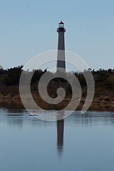 This beautiful lighthouse stands tall at the edge of this field. A beautiful pond casting the reflection of this beacon of hope.