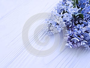 Beautiful lilac bouquet cluster botany composition april blossom vintage on white wooden frame background