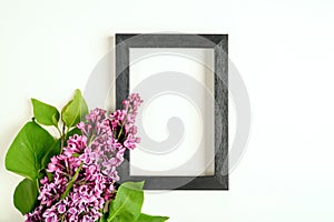 Beautiful lilac flowers and photo frame on a white background.