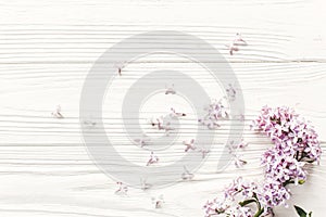 Beautiful lilac flowers on rustic white wooden background top vi