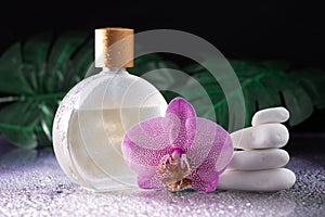 Beautiful lilac orchid flower and transparent bottle of perfume with white stones and monstera leaves on wet background