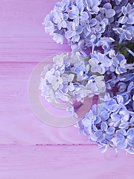 Beautiful lilac on pink wooden daylight cluster design arrangement