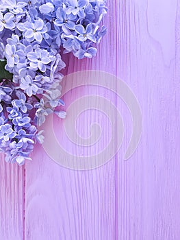 Beautiful lilac on pink wooden cluster summer design arrangement