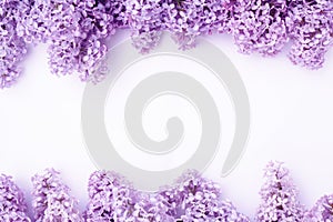 The beautiful lilac on a white background. Horizontal composition, copyspace. For design of cards, invitations, wedding