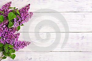 The beautiful lilac on a wooden background