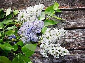 Beautiful lilac on a wooden surface. Selective focus