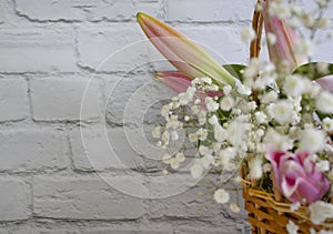 Beautiful lily flower  transparent  fragility  a wooden background season