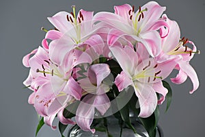 Beautiful lily flowers bouquet in a glass vase. Lillies. Pink lilies design. Big bunch of fresh fragrant lilies