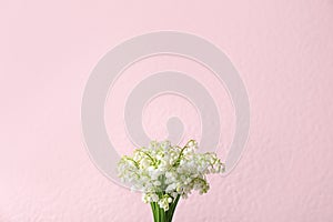 Beautiful lily of the valley flowers on color background
