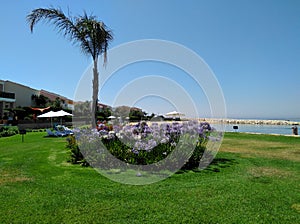 The beautiful Limassol Marina Beach or Golden Beach Limassol in Cyprus