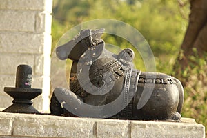 A beautiful limestone made statue of a bull in fornt of a temple in india. Indians treat the animals as god and worship them