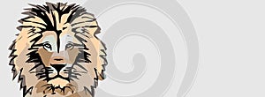 Beautiful lion abstract art illustration head photo