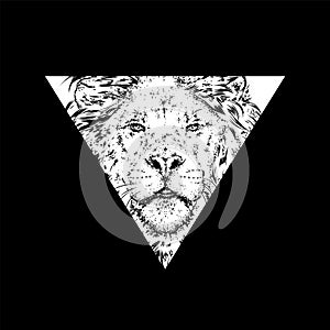 A beautiful lion. Vector illustration for a postcard or a poster, print for clothes.