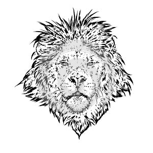 A beautiful lion wearing headphones. Vector illustration for a postcard or a poster, print for clothes. I love music.