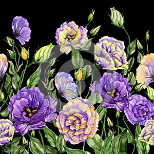 Beautiful lisianthus flowers with green leaves on black background. Seamless floral pattern. Watercolor painting.