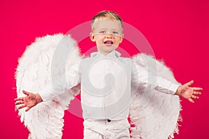 Beautiful little angel boy. Small cupid isolated on a red background. Cute little boy with white wings.