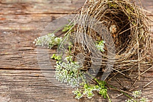 Beautiful little bird`s nest on wooden background