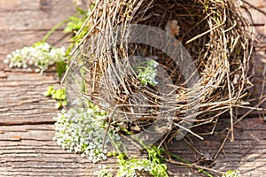 Beautiful little bird`s nest on wooden background