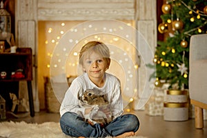 Beautiful little blond child, cute boy, holding small pet rabbit