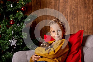 Beautiful little blond child, cute boy, holding small pet rabbit