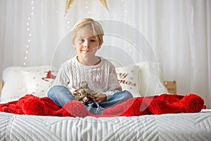 Beautiful little blond child, cute boy, holding small pet rabbit