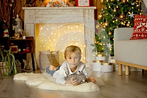 Beautiful little blond child, cute boy, holding small pet rabbit