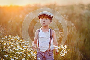 Beautiful little boy in daisy field on sunset