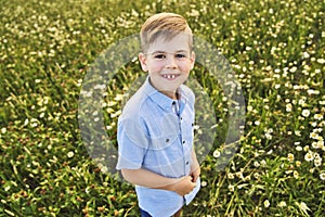 Beautiful little boy in daisy field on sunset, summertime