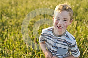 Beautiful little boy in daisy field on sunset, summertime