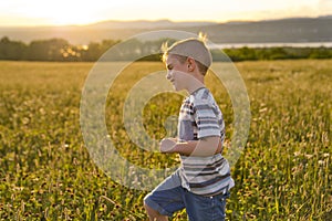 Beautiful little boy in daisy field on sunset, summertime