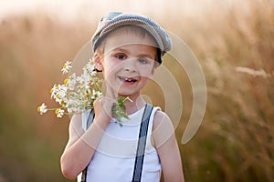 Beautiful little boy in daisy field on sunset