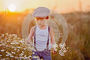 Beautiful little boy in daisy field on sunset